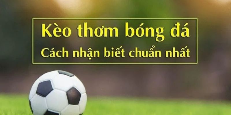 Tìm hiểu về kèo thơm bóng đá